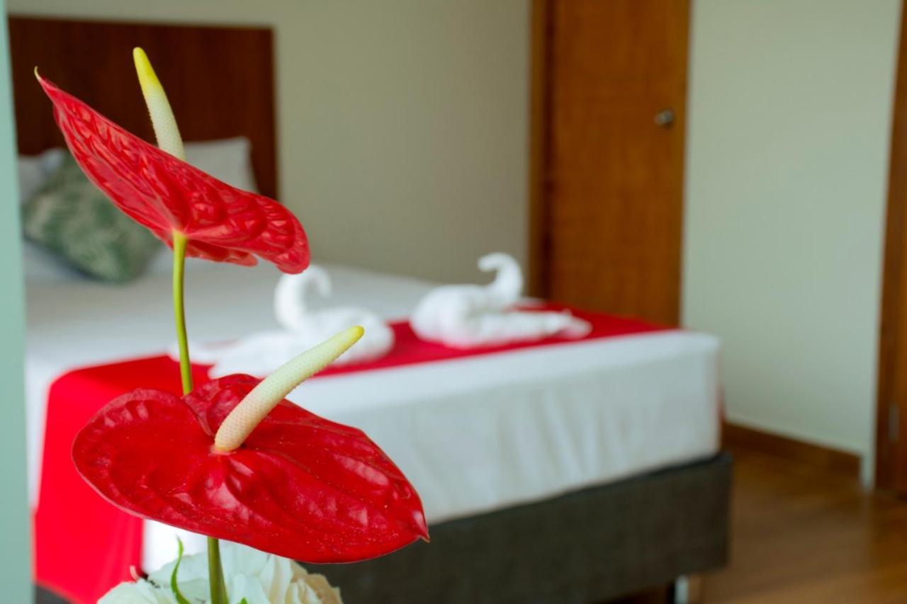 Hotel La Palmera De Oro Tarapoto Bagian luar foto